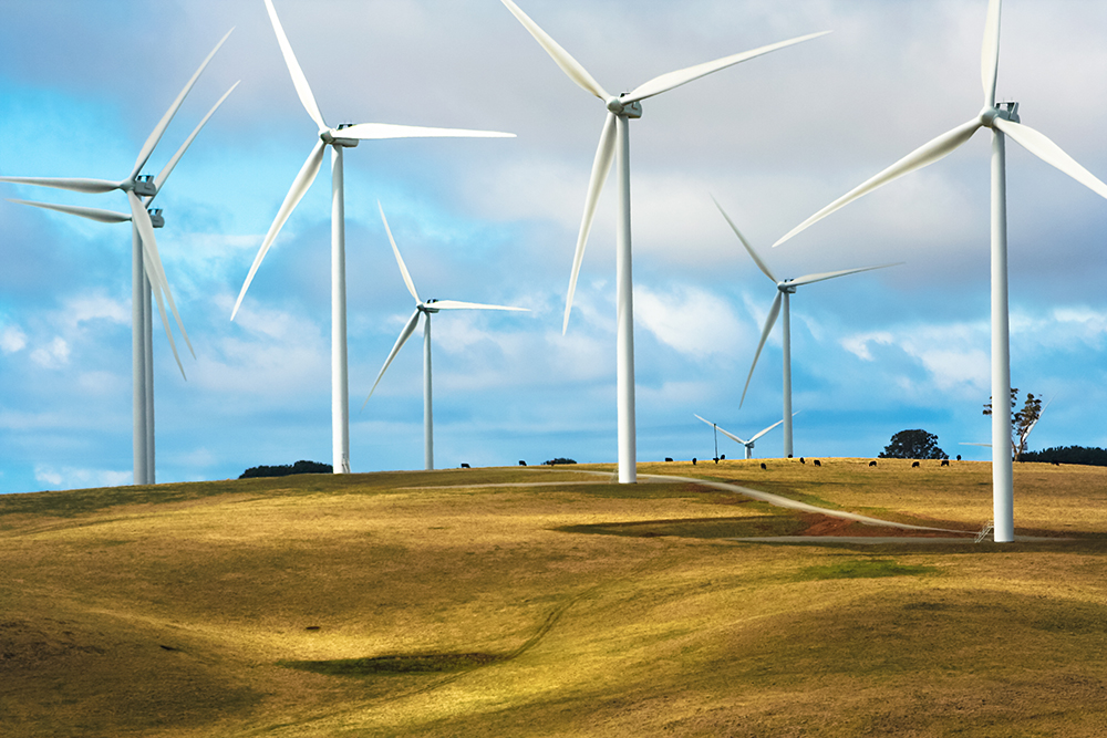 澳大利亚新南威尔士州塔拉加的一群用于生产可再生能源的养牛场的风车